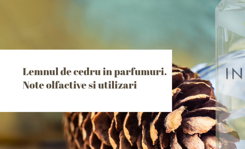 Lemnul de cedru